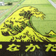 Illustration for article titled Behold These Incredible Artworks Grown from a Rice Field in Japan